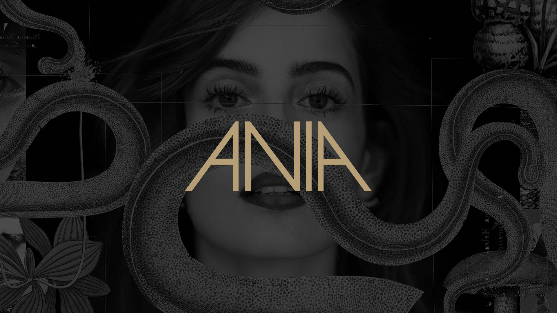 Ania album cover.